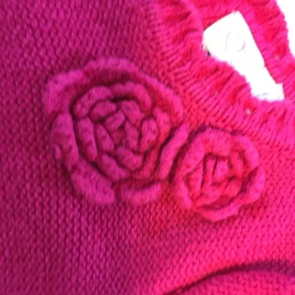 NWOT EST 1989 Place Girls Sweater Dress 3T